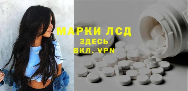 стафф Алзамай