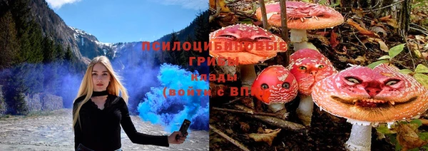 соль курить ск Лабытнанги