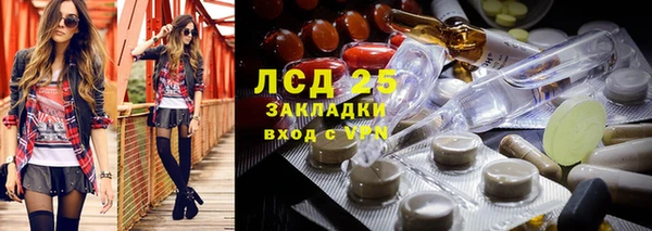стафф Алзамай