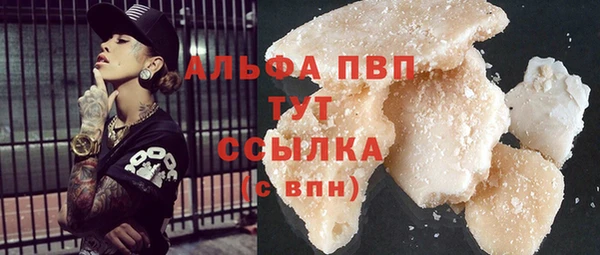 стафф Алзамай