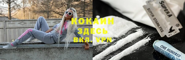 стафф Алзамай