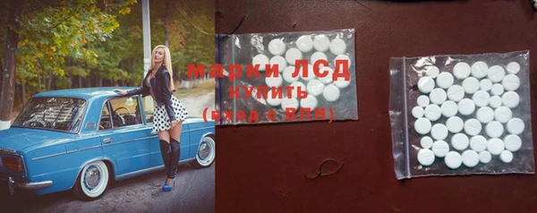 стафф Алзамай